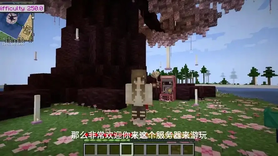 我的世界公益助学乡村教育