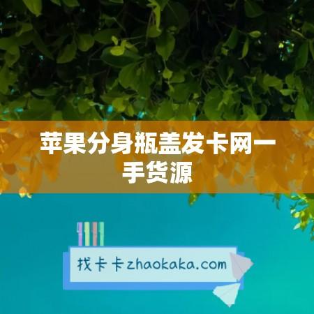 瓶盖发卡网直销一手货源低价 ensured