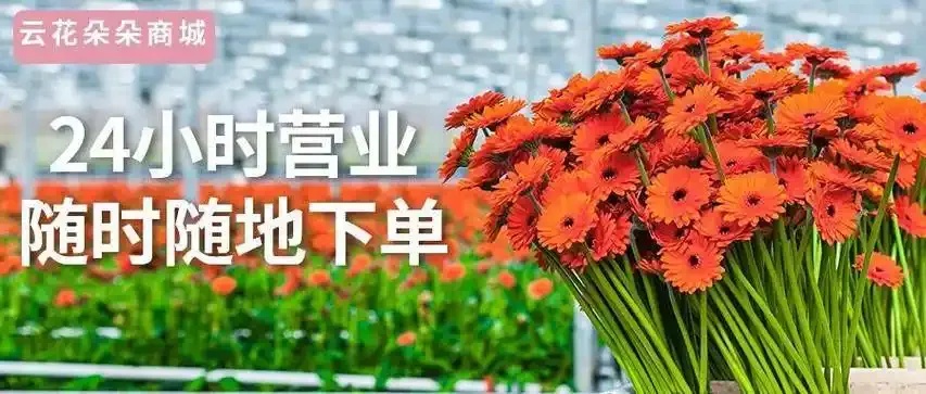 24小时自动下单平台业务高效稳定
