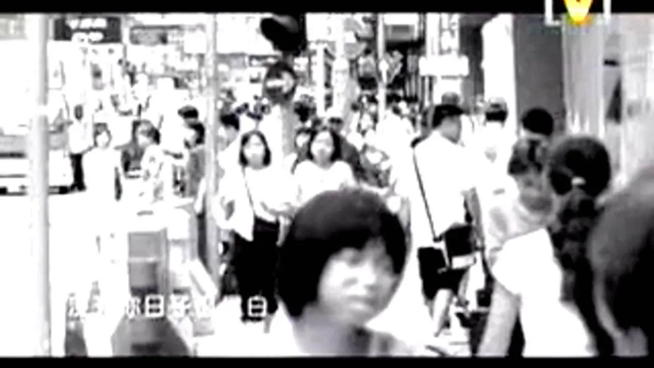 2023天天酷跑脚本下载安装使用指南