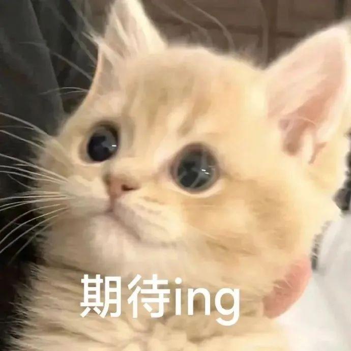 root官方网站下载教程与工具指南