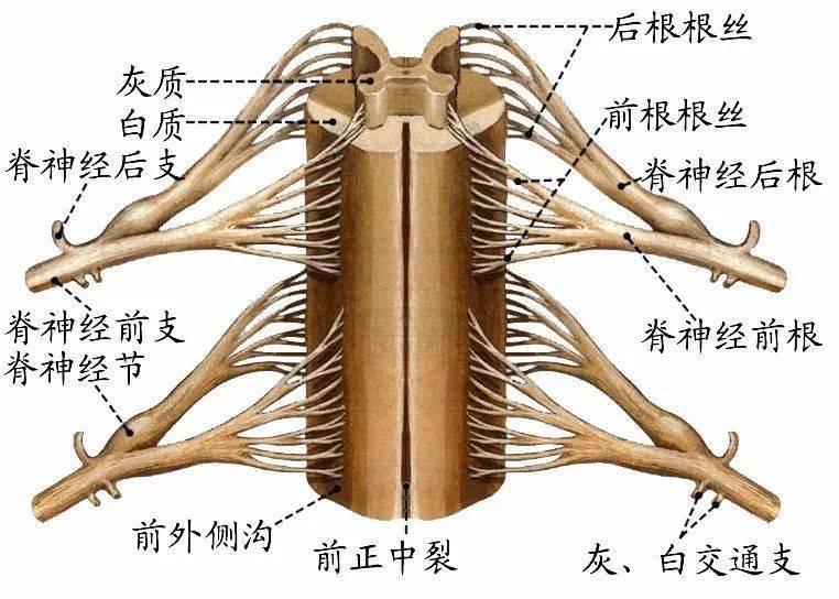 暗区突围资源透视挂核心功能及使用优势分析