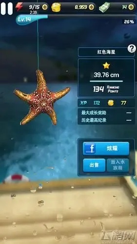 钓鱼发烧友全自动脚本高效解决方案指南