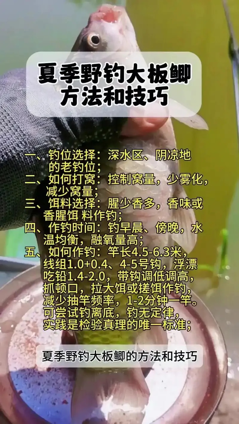 钓鱼高手脚本高效应用与实战指南