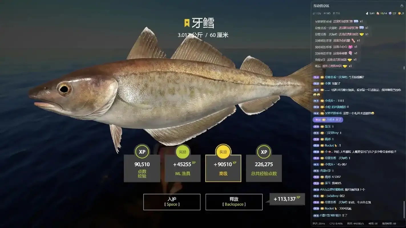 俄罗斯钓鱼4辅助脚本使用方法与功能详解