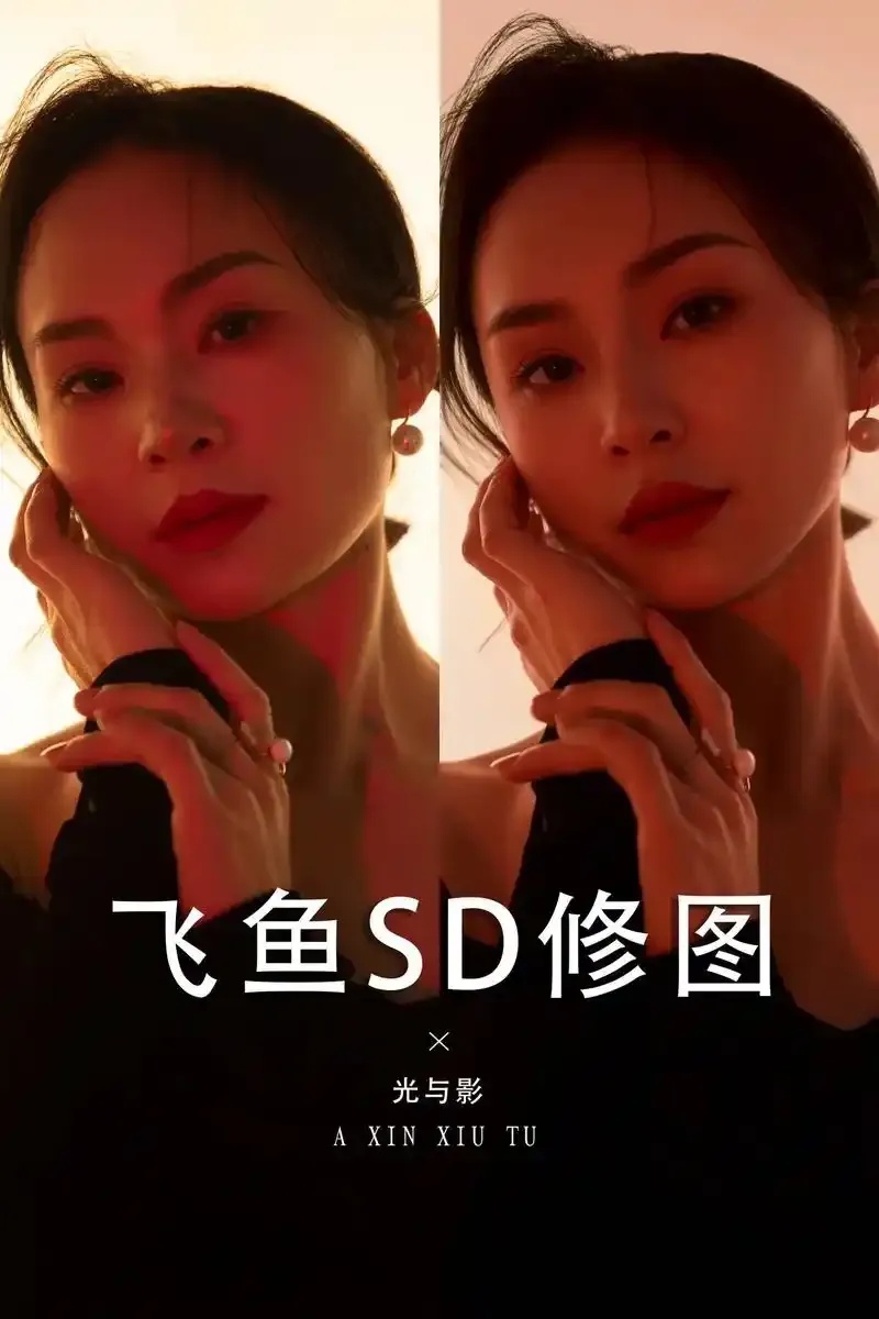 飞鱼SDAI修图官网入口功能说明和使用指南