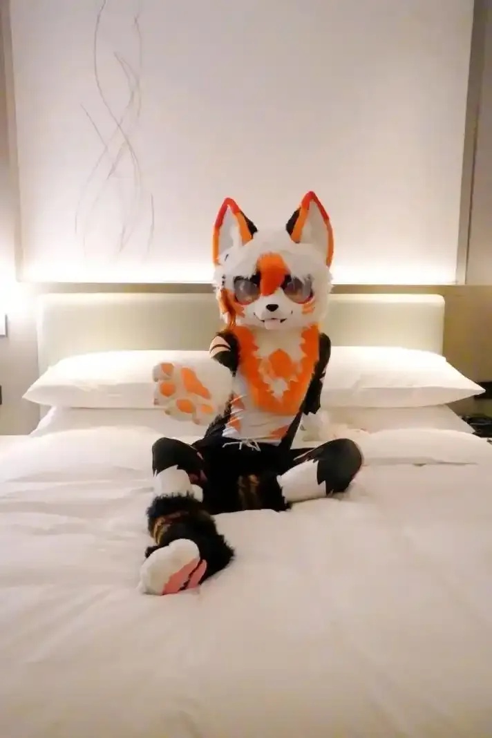 高效可靠的狐狸直装服务指南 高效 可靠 的狐 狸直 装服 务指 南 第1张 高效可靠的狐狸直装服务指南 高效 可靠 的狐 狸直 装服 务指 南 第1张