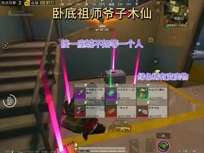 和平精英子木仙最新视频攻略技巧