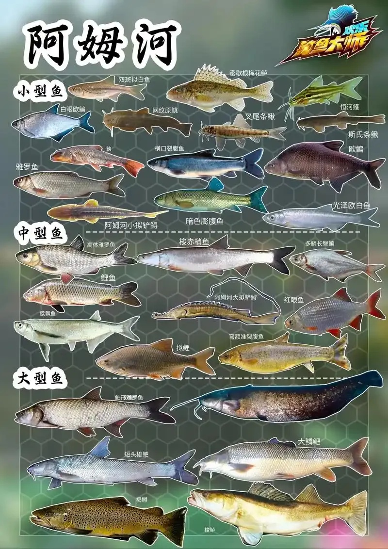 狐狸欢乐钓鱼大师直装攻略教程
