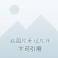 QQ炫舞动作卡使用方法