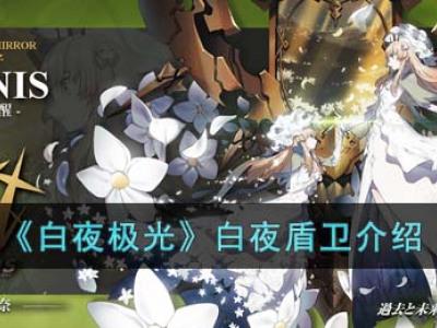 白夜辅助：揭开午夜代码的神秘面纱