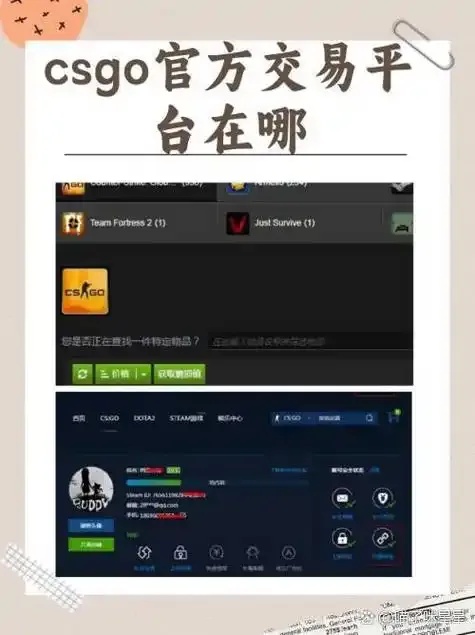 图片1