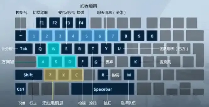 图片1