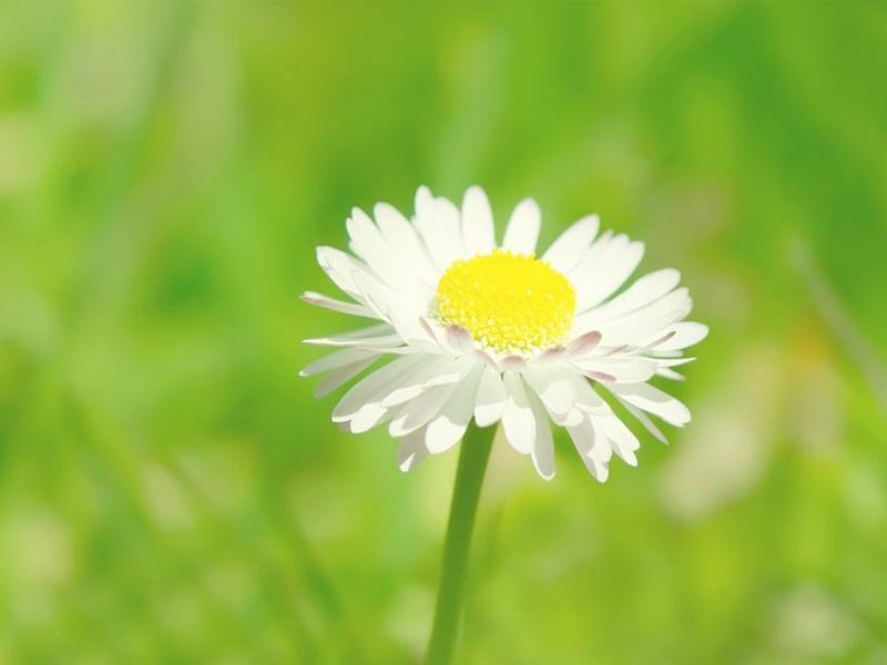 穿越火线枪战王者自瞄技巧最新破解方法与反作弊策略解析