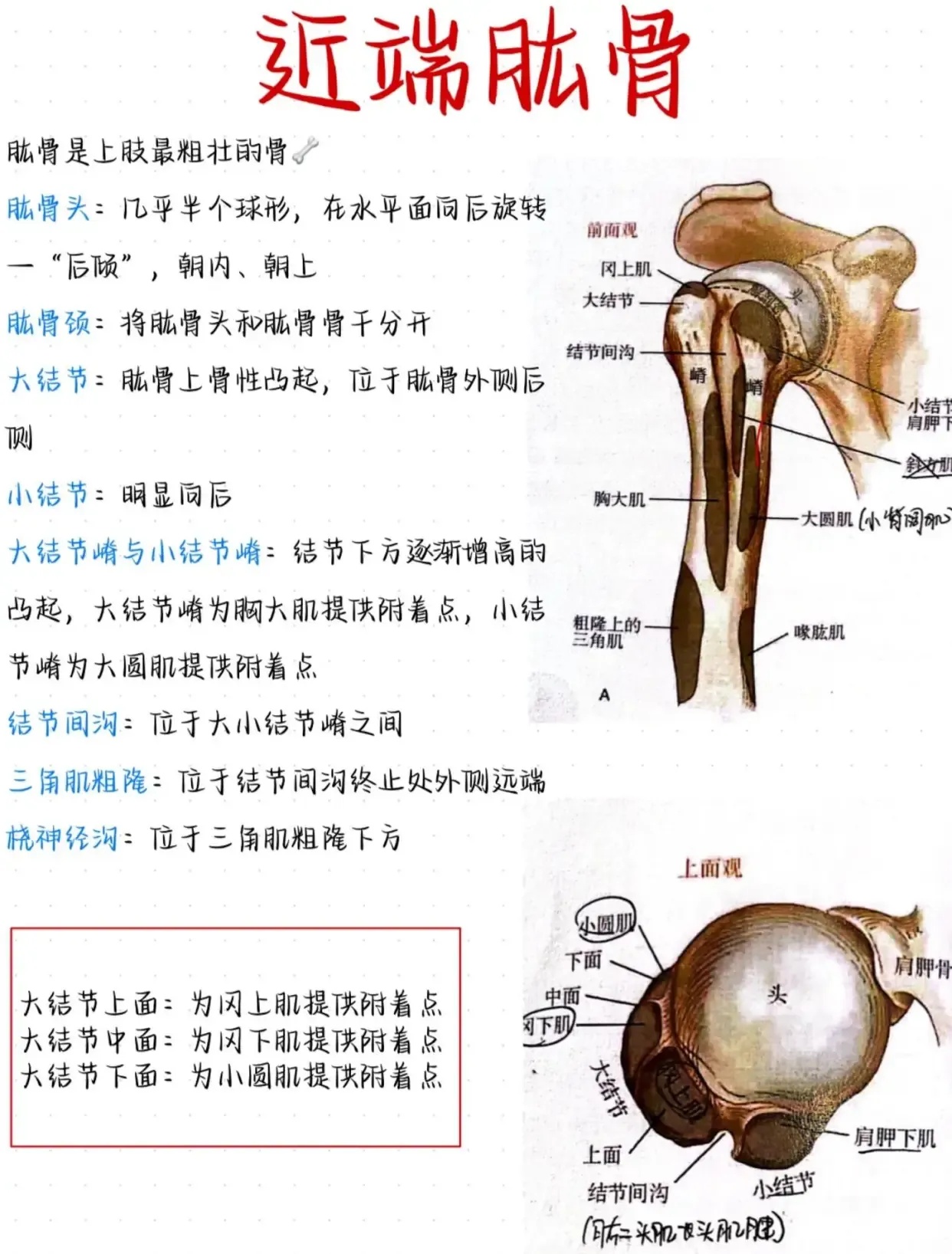 使命召唤》外挂工具助手免费下载安装手机版苹果iOS版