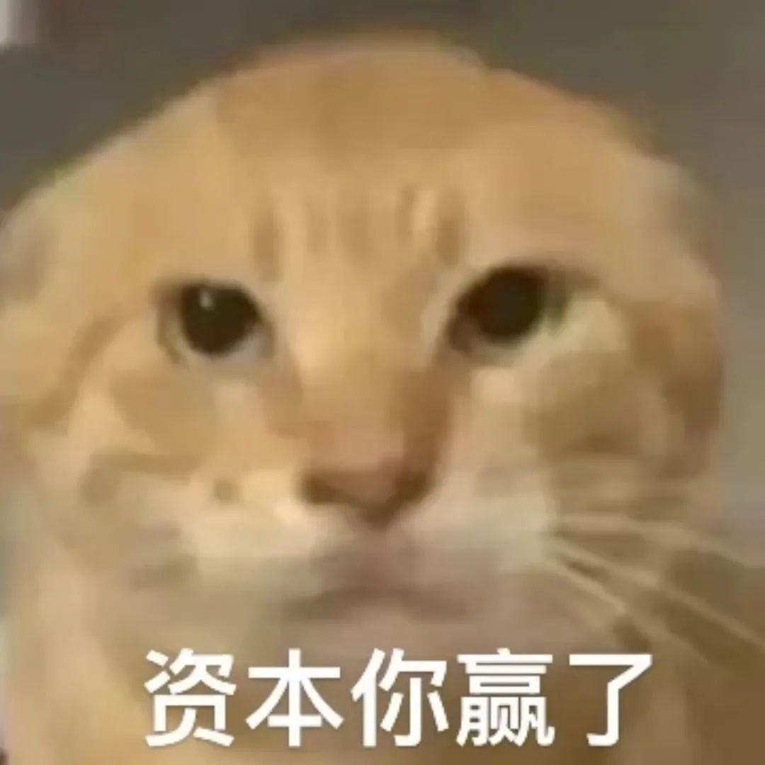 王牌战争安卓版辅助工具下载指南：高效攻略与安全使用技巧
