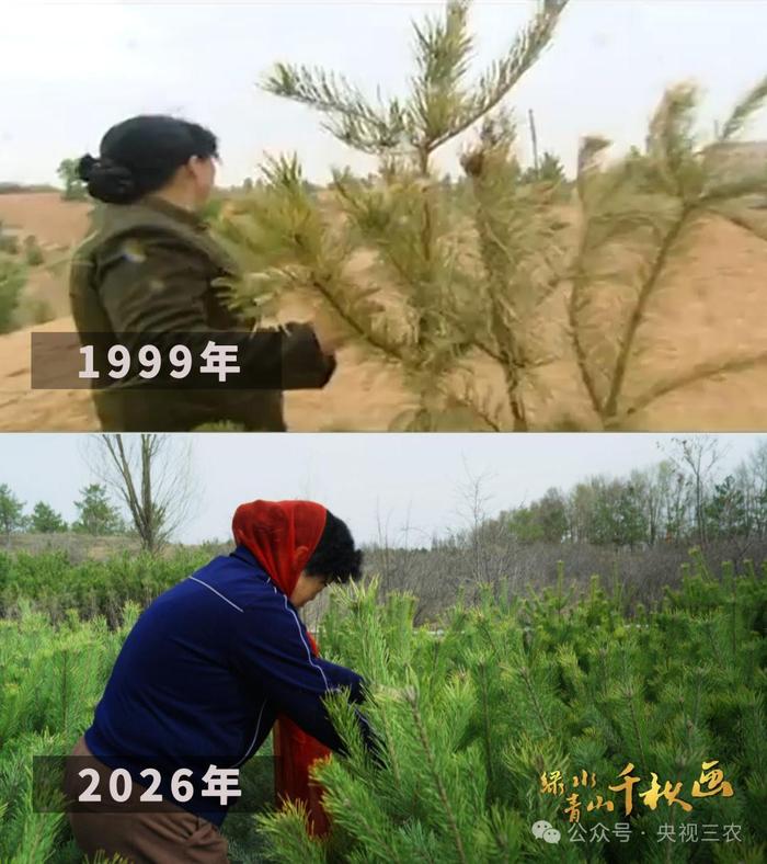 自瞄透视免费神器解锁！游戏透视终极方案大公开！
