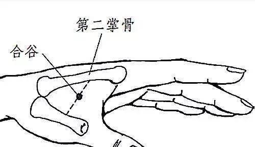 Dota2 Ako战术全解析与高分上分技巧指南