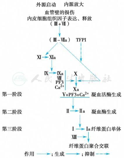 GTA5线上小助手官网发布免费手机版及苹果iOS版下载安装教程与外挂脚本指南