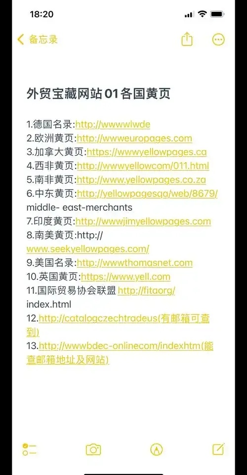 西西外挂网站功能全解析及安全使用指南