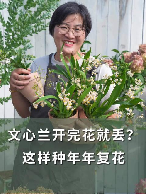 暗区大陆免费外挂物资透视风险与防制策略