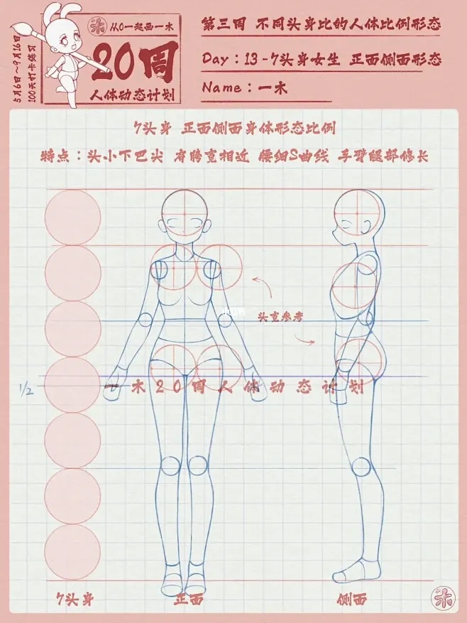 白夜极光官网功能解析与用户使用指南