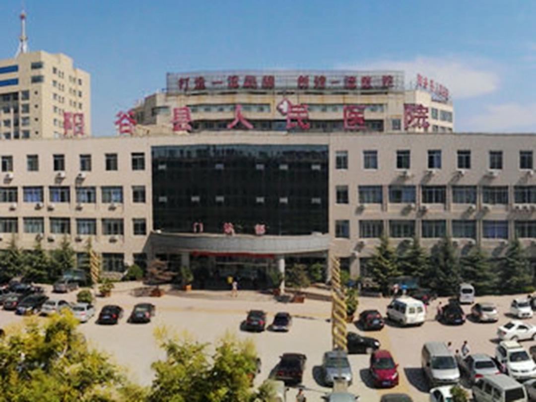 炫舞阳光挂饰：现代家居装饰的时尚与功能融合