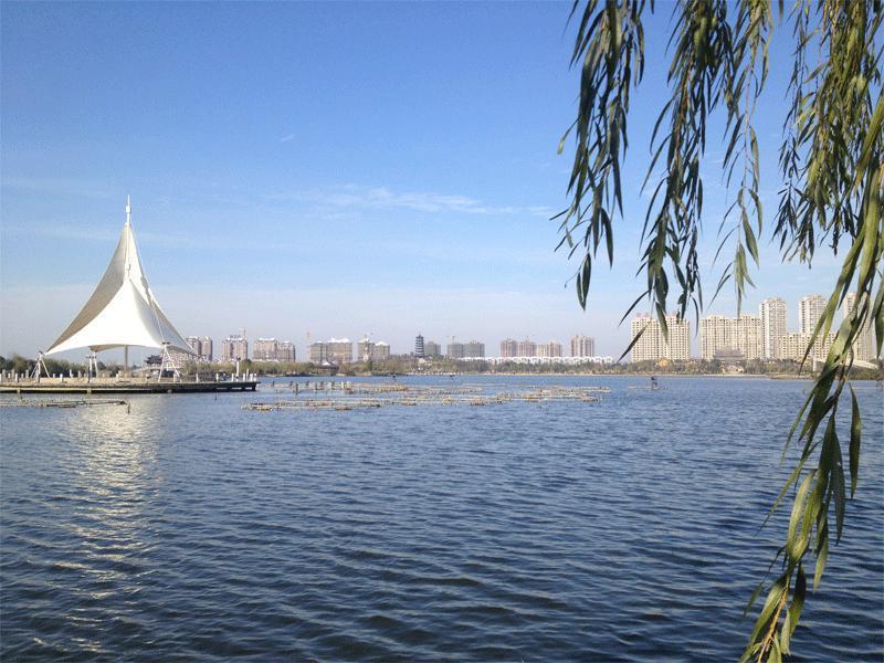 QQ炫舞绿色外挂技术解析与风险防范指南