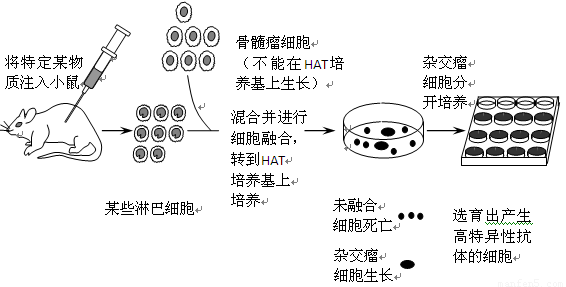 免费下载安装：QQ炫舞手机版（含苹果iOS）外挂助手及脚本工具全解析