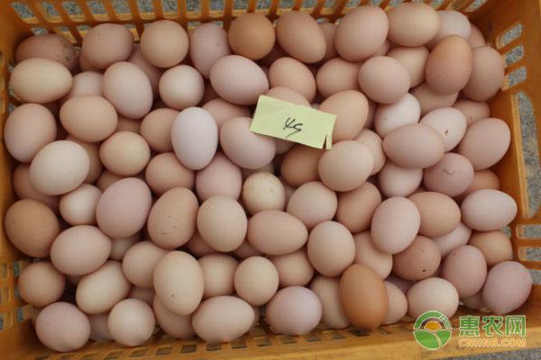 QQ炫舞手游开挂教程免费下载方法及使用技巧