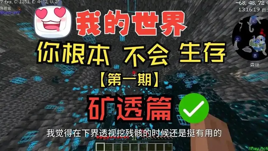 图片1