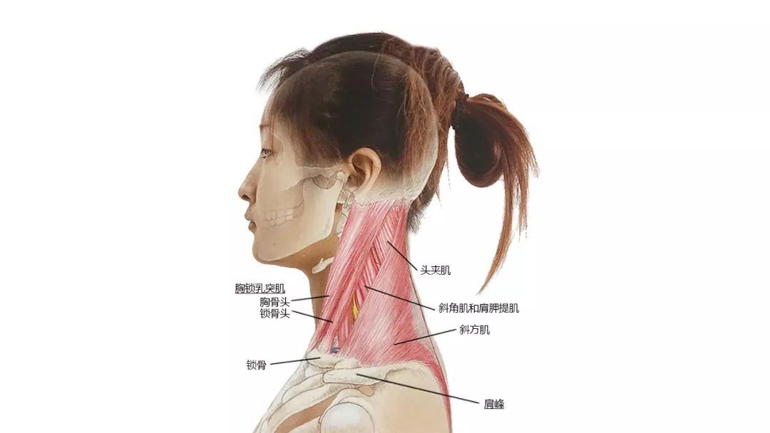 第五人格公益科技震撼揭秘游戏如何用代码重塑人类命运