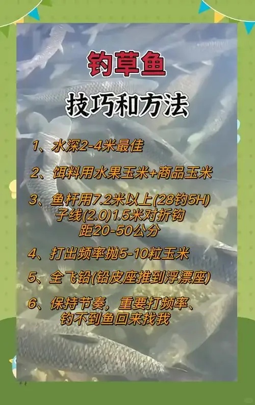 钓鱼大师脚本实战全攻略与高效开发指南