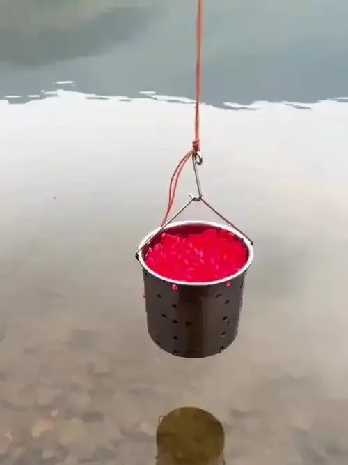 钓鱼大师自动点器：智能操控提升垂钓精准度与效率