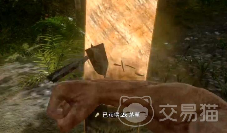 方舟外挂惊爆天量玩家数据泄露内幕竟是内部人自导自演？