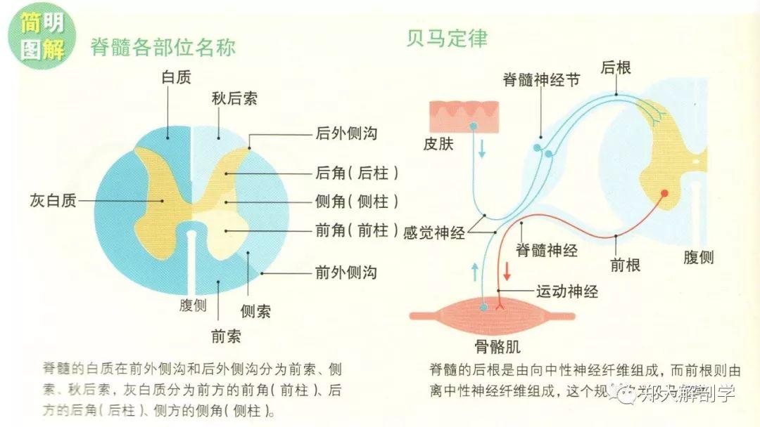 鬼谷八荒》作弊菜单开发机制与安全评估全解析