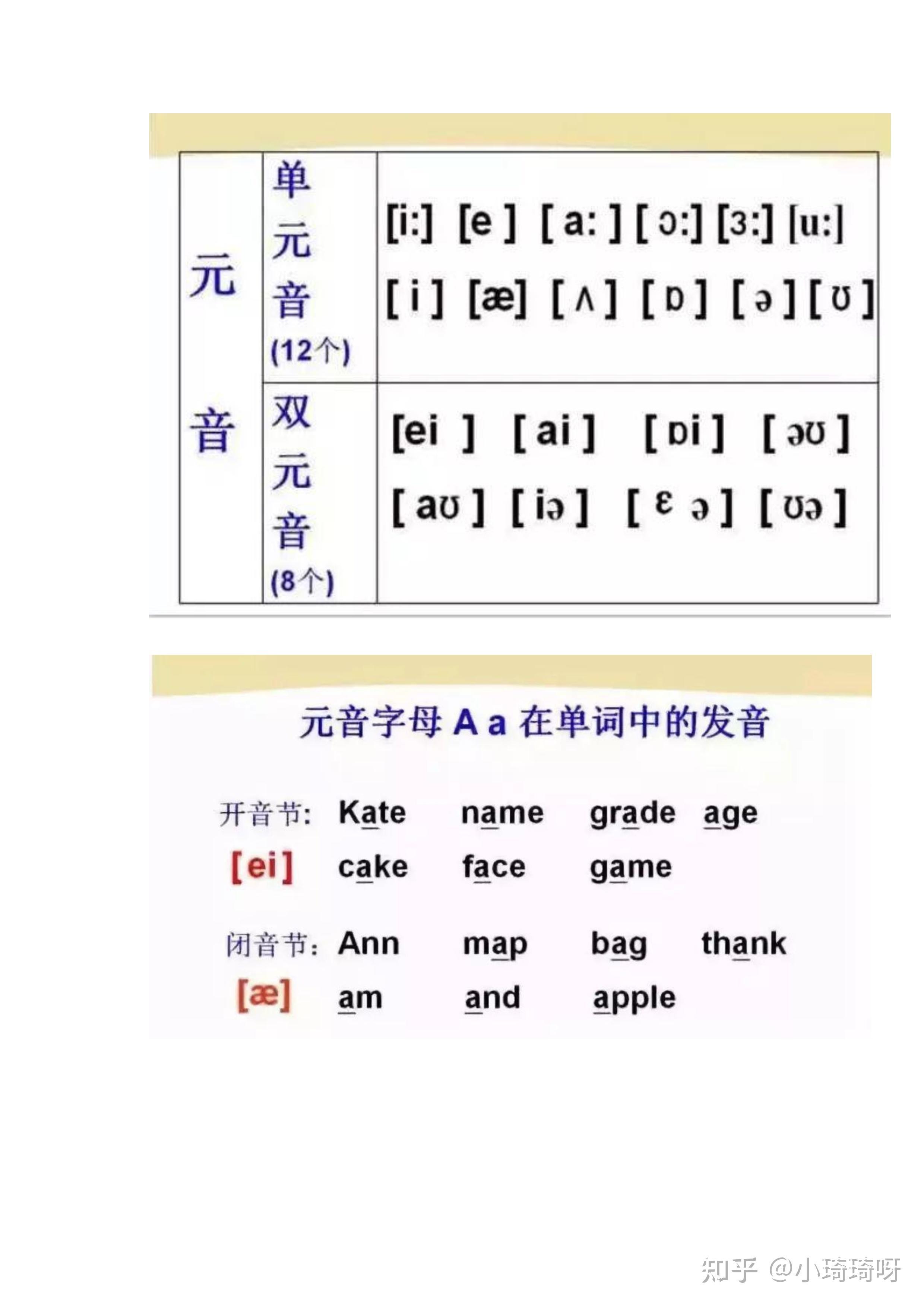航海王热血航线指趣版全攻略解析与最新版本更新指南