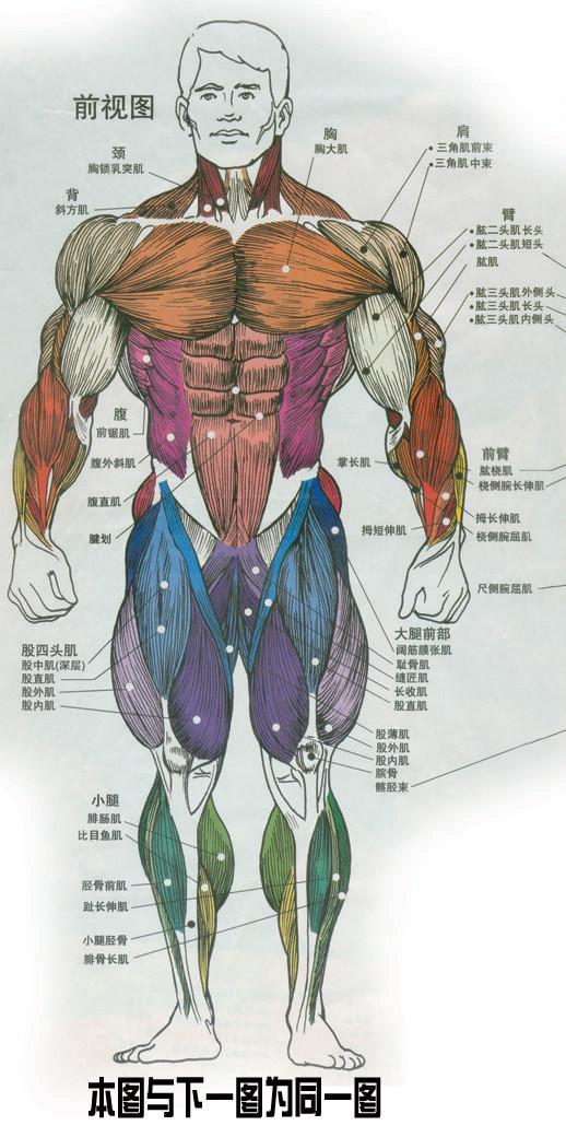 和平精英iOS辅助瞄准透视V2功能解析与实战应用