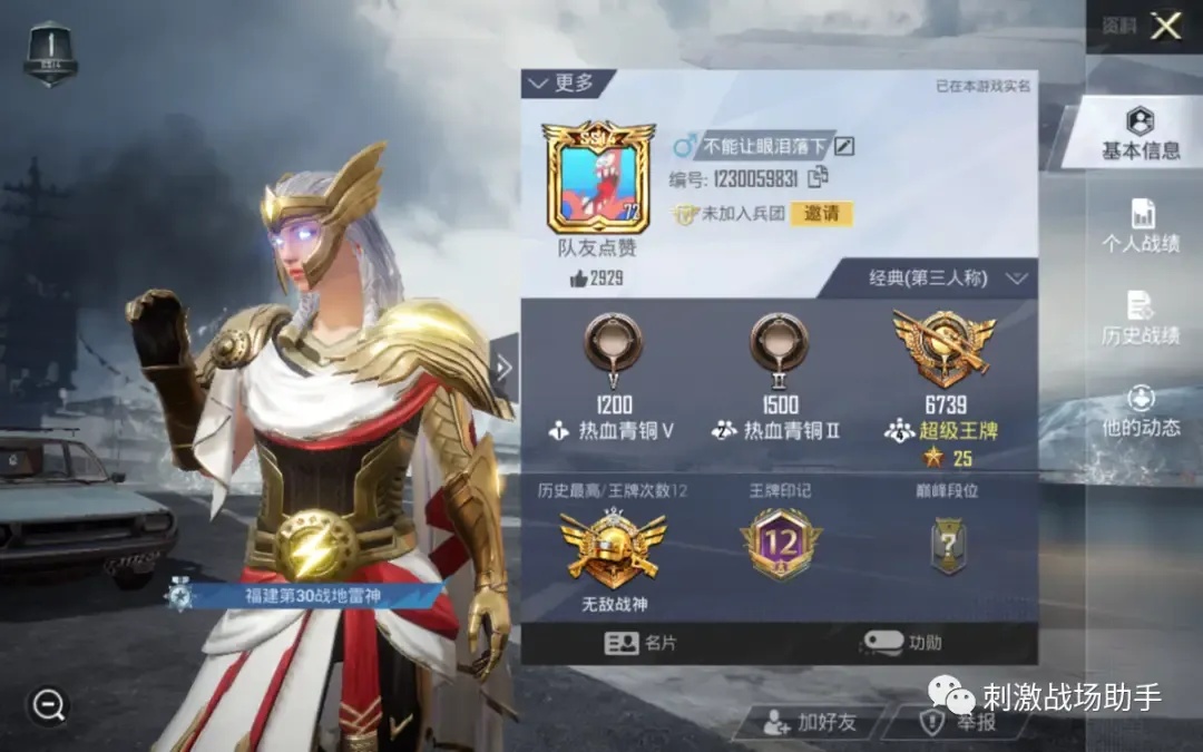 和平精英WG辅助官网大揭秘！隐藏功能竟能让玩家轻松吃鸡？