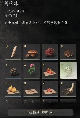黑神话：悟空》科技树系统解析与角色养成策略研究