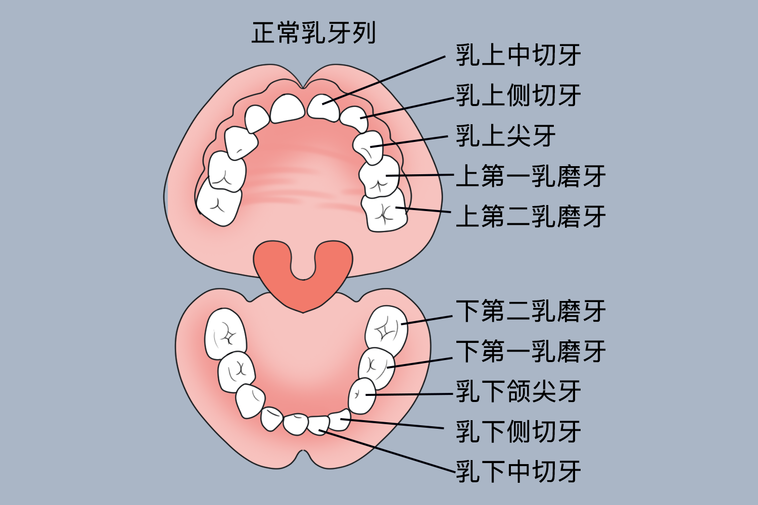 卡盟自动发卡网：无限量秒领卡包！游戏党狂喜零门槛狂欢