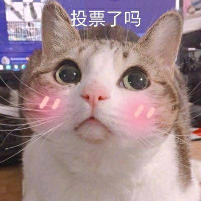 免费透视词条工具助手下载安装：手机版与苹果iOS版使用指南