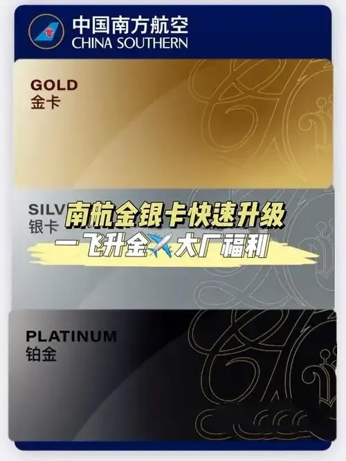 南开卡盟日入过千揭秘零门槛暴利项目月赚10W真实案例曝光