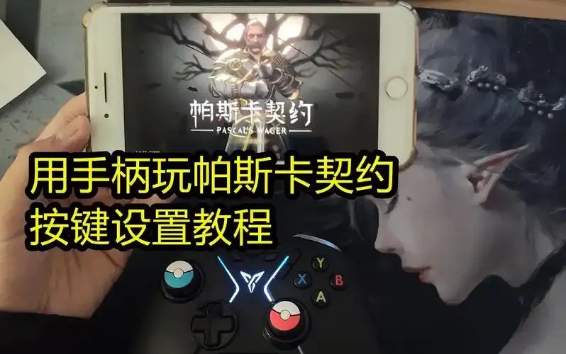 帕斯卡契约辅助器使用技巧大全2023最新版