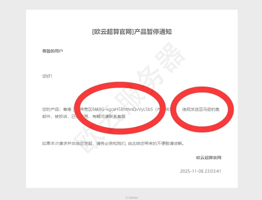 枪林弹雨客服网页访问故障排查与解决方案