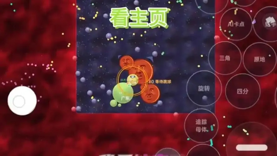 球球大作战直装公益计划启动 下载即捐助力环保项目
