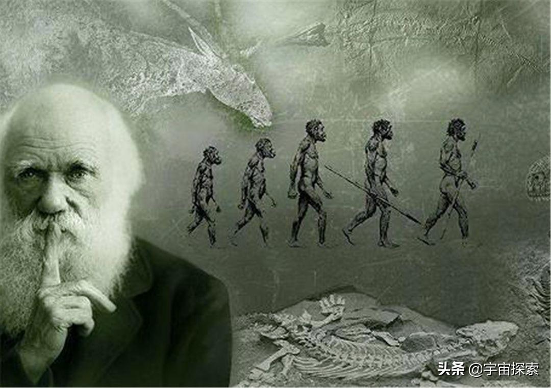 人类一败涂地手机版终极攻略泄露隐藏下载通道曝光速看