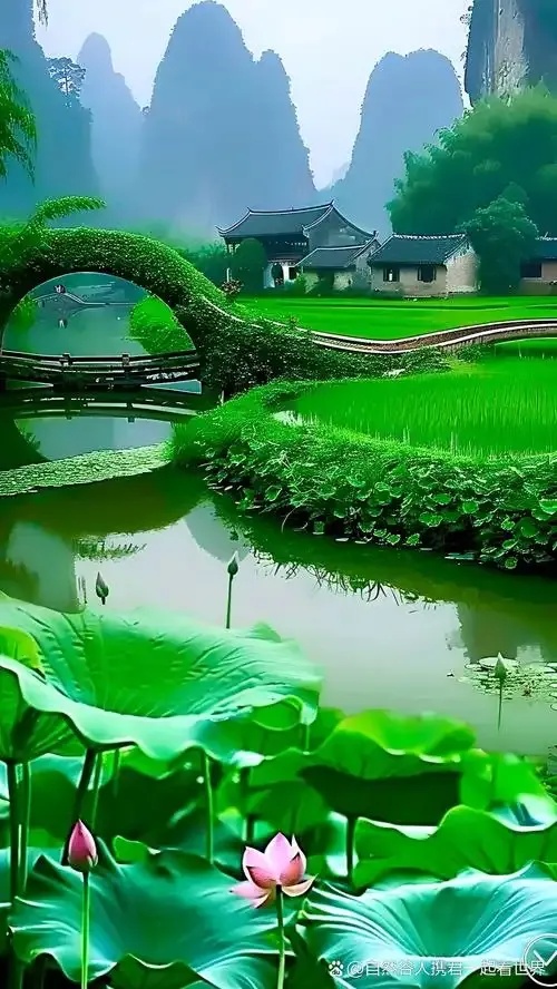 水墨江南春色醉 烟雨迷蒙藏千机