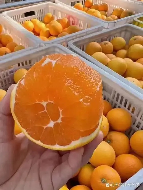 无卡密直装技术：高效安全的软件安装解决方案