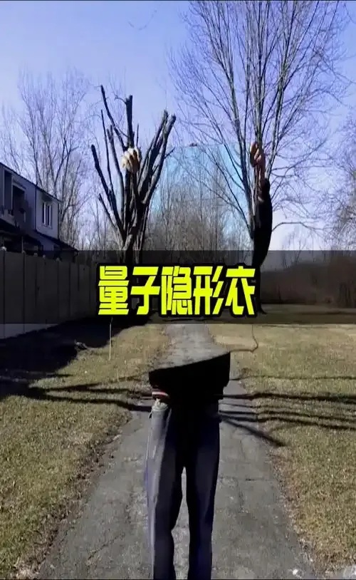 隐身衣黑科技竟能让物体瞬间消失？人类接近突破物理极限
